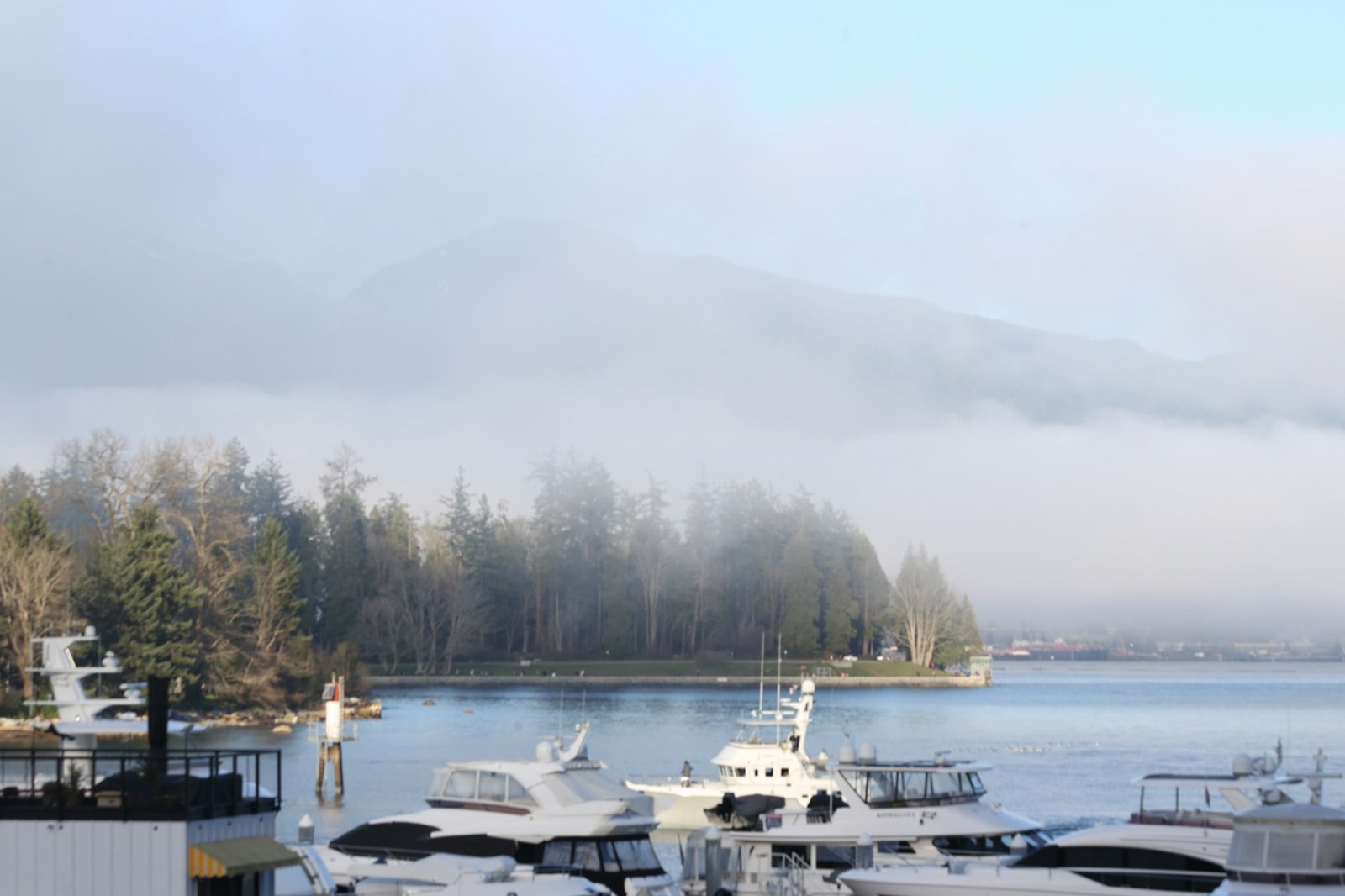A quiet marina under fog with forested mountains behind