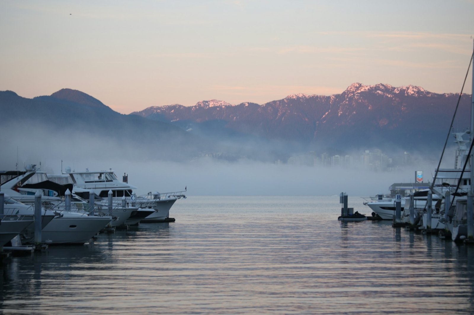 Fog lying over a harbour at dawn beneath coastal mountains